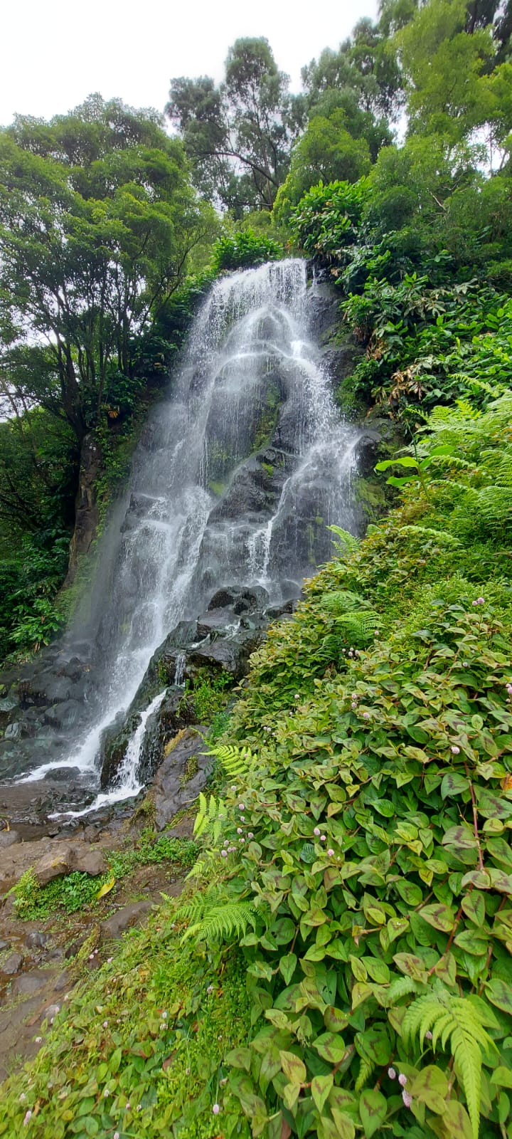 sao-miguel-9